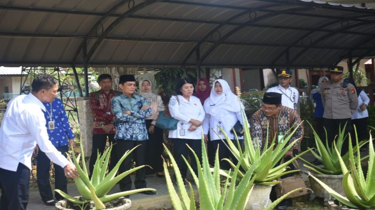 Wakil Wali Kota Pontianak Bahasan memperlihatkan tanaman lidah buaya yang dikembangkan Aloevera Center. ANTARA/HO-Prokopim PTK