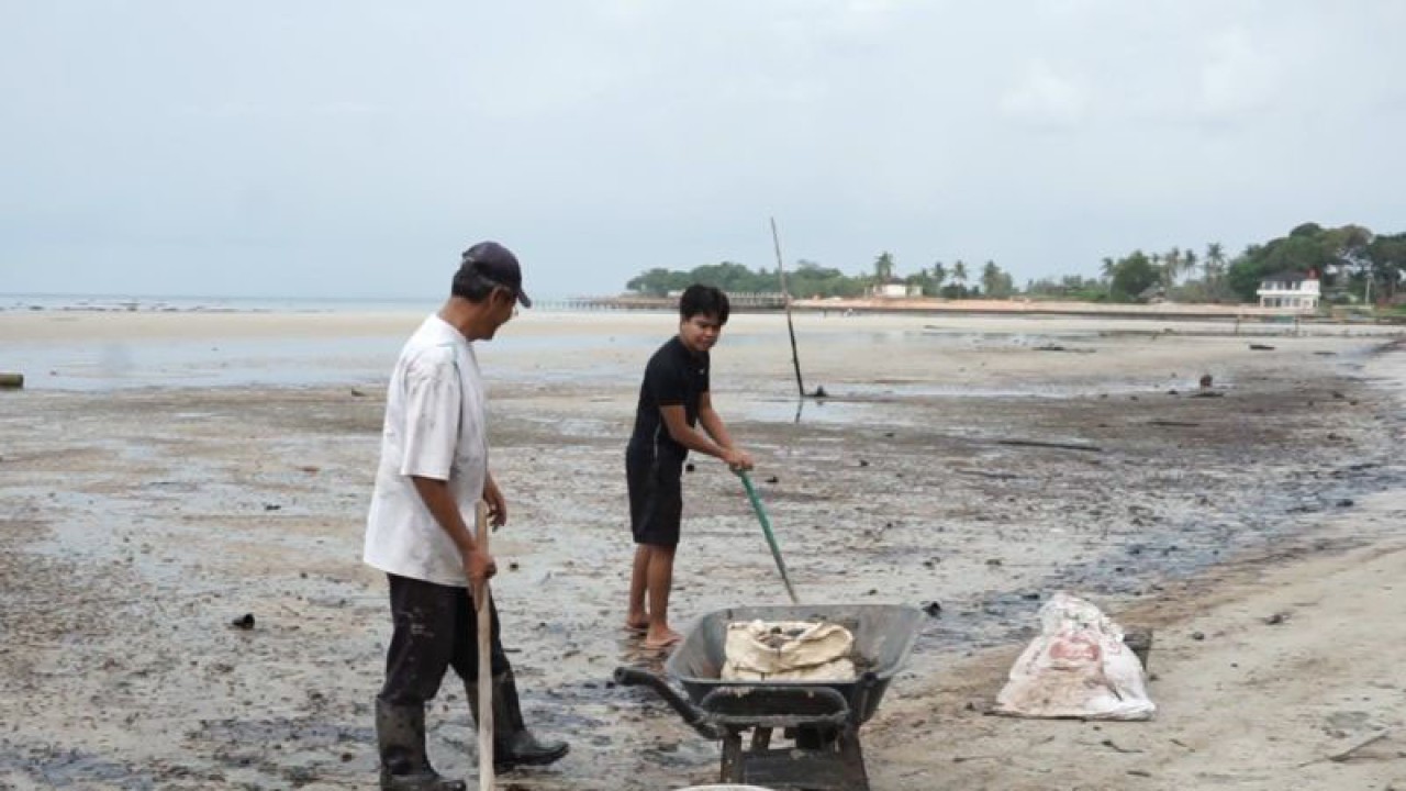 Pantai Melayu sudah mulai bersih dari pencemaran limbah minyak hitam yang terjadi pada pekan lalu. ANTARA/Yude