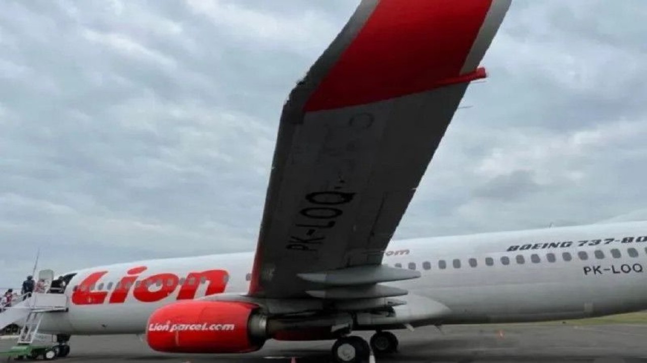 Ilustrasi - Maskapai Lion Air. ANTARA/Tin