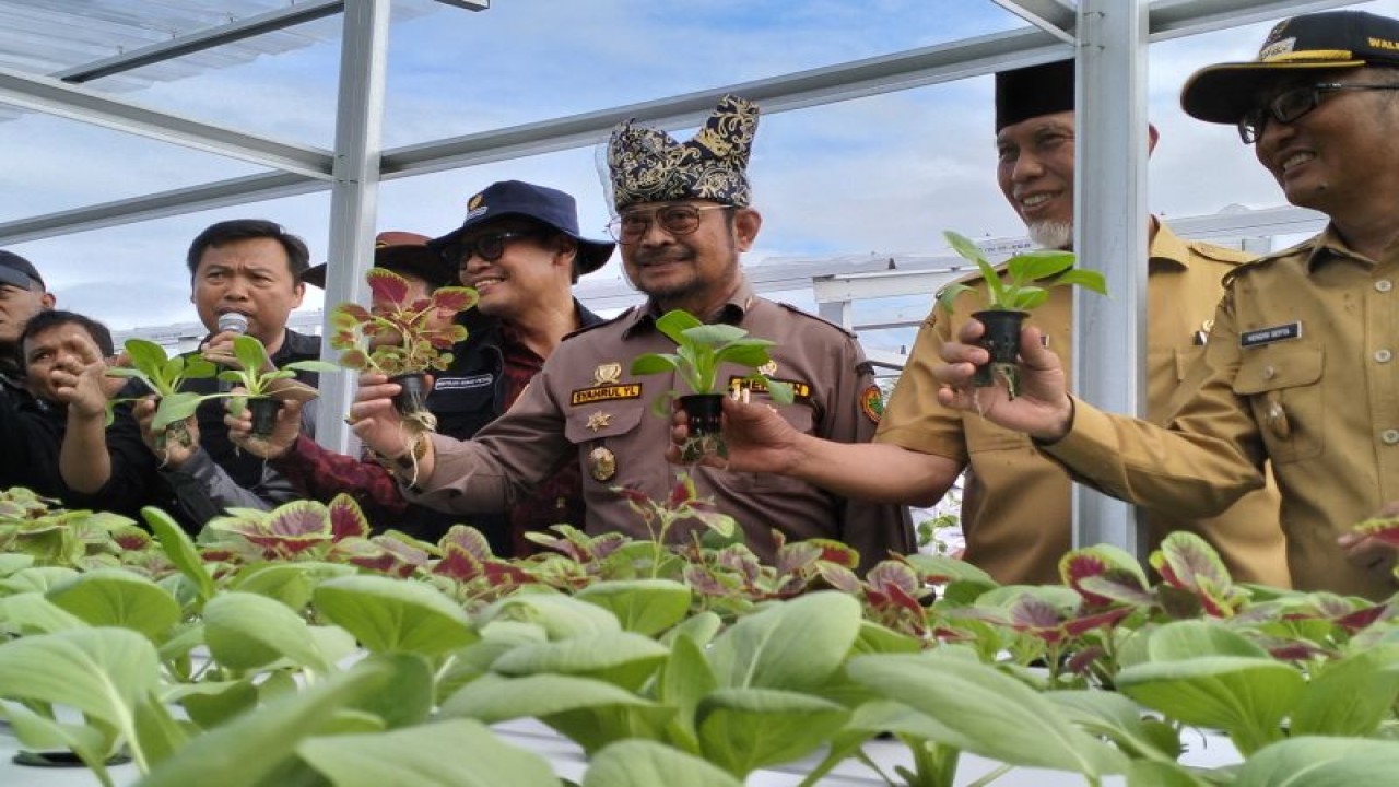 Menteri Pertanian (Mentan) RI Syahrul Yasin Limpo meninjau lokasi gelar percontohan pertanian di kawasan Lapangan Udara (Lanud) Sutan Sjahrir, Kota Padang, (30/5). ANTARA/Muhammad Zulfikar.