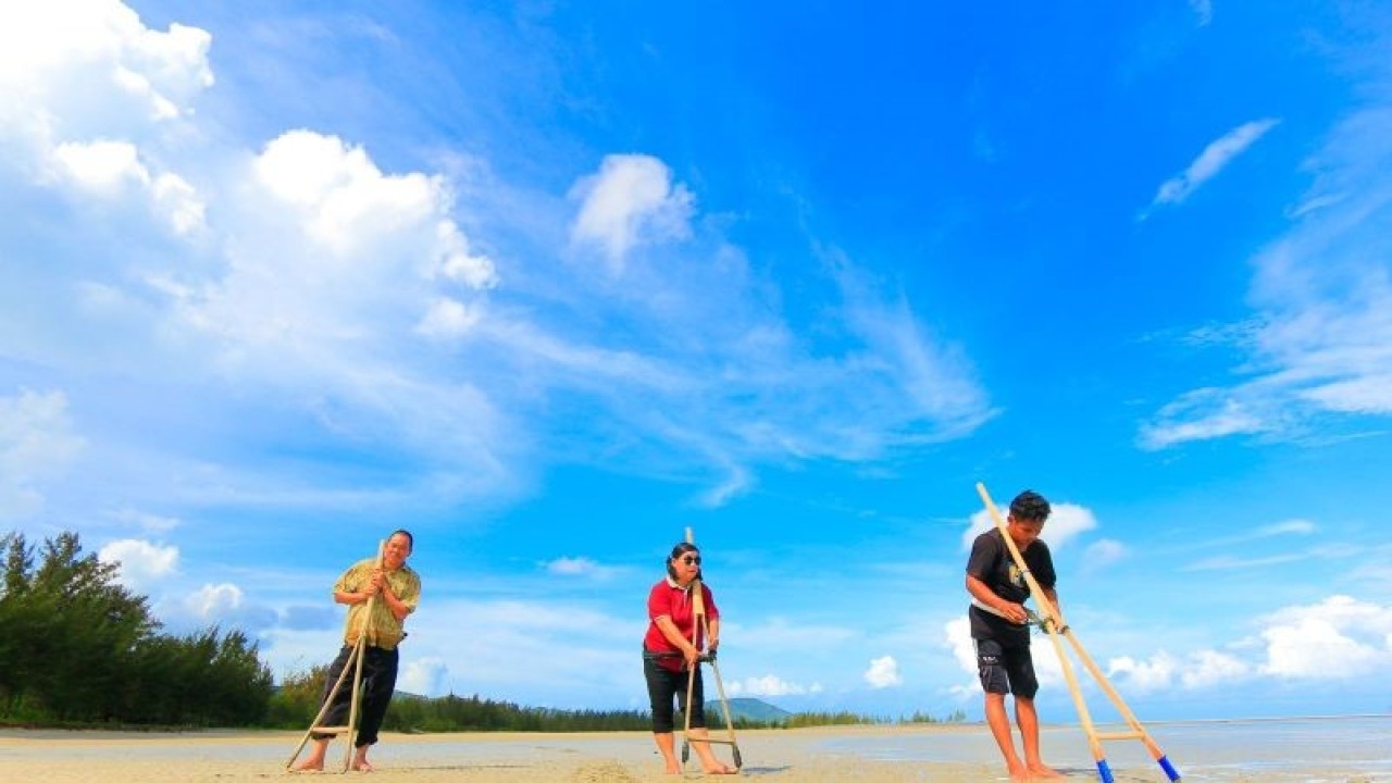 Ngais Kerang Bambu di pantai Bangka (ANTARA/Kasmono)