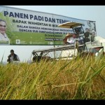 Padi-1684919000