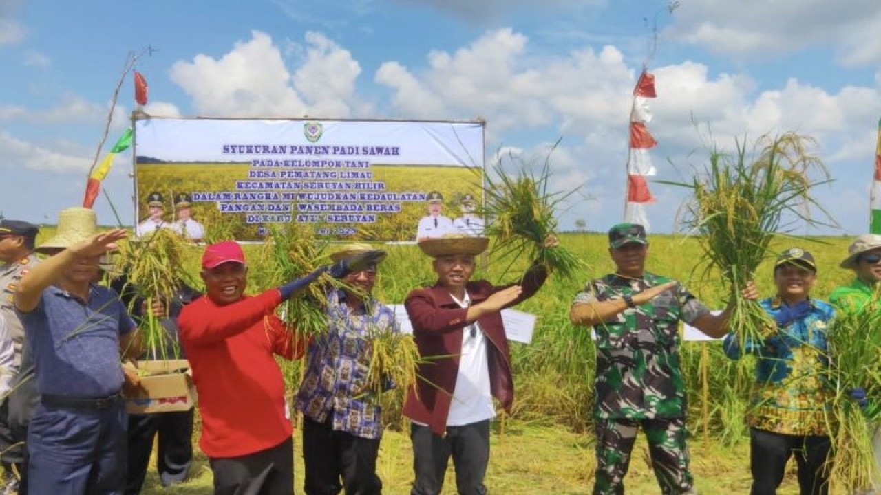 Kegiatan panen di lahan pertanian di Desa Pematang Limau, Kecamatan Seruyan Hilir, (25/5/2023). (ANTARA/Dokumentasi Pribadi)
