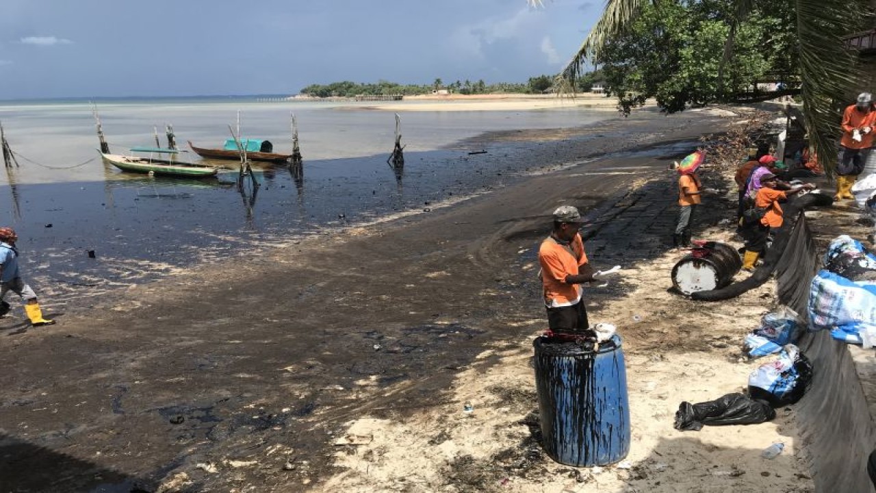 Petugas kebersihan membersihkan limbah minyak hitam yang mencemari Pantai Melayu di Batam (ANTARA/Yude)