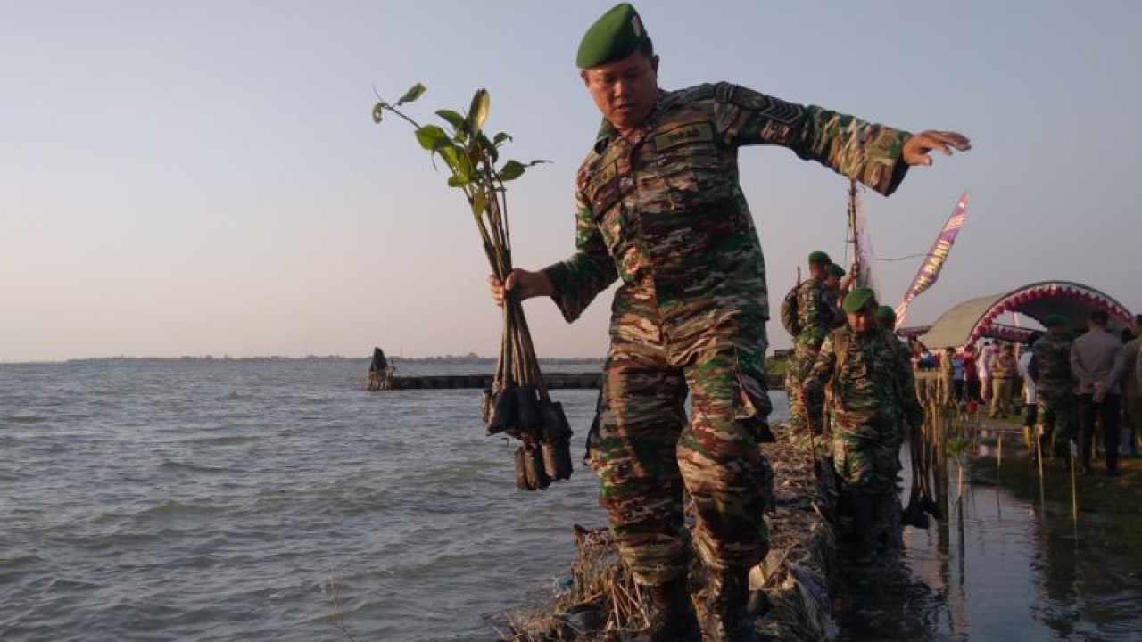 Seorang prajurit Kodim 0719/Jepara, Jawa Tengah, menyusuri tanggul pantai sambil membawa bibit mangrove untuk ditanam di tepi Pantai Bulakbaru, Kecamatan Kedung, Jepara, untuk mencegah abrasi, Senin (15/5/2023). (ANTARA/Akhmad Nazaruddin Lathif)