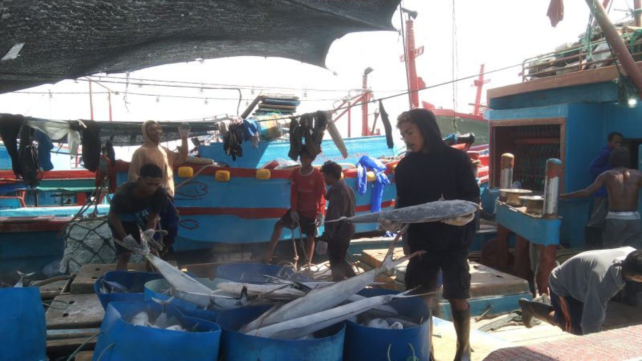 Arsip foto - Sejumlah nelayan membongkar muatan ikan di Pelabuhan Umum Benoa di Denpasar, Bali, Rabu (10/5/2023) ANTARA/Dewa Ketut Sudiarta Wiguna