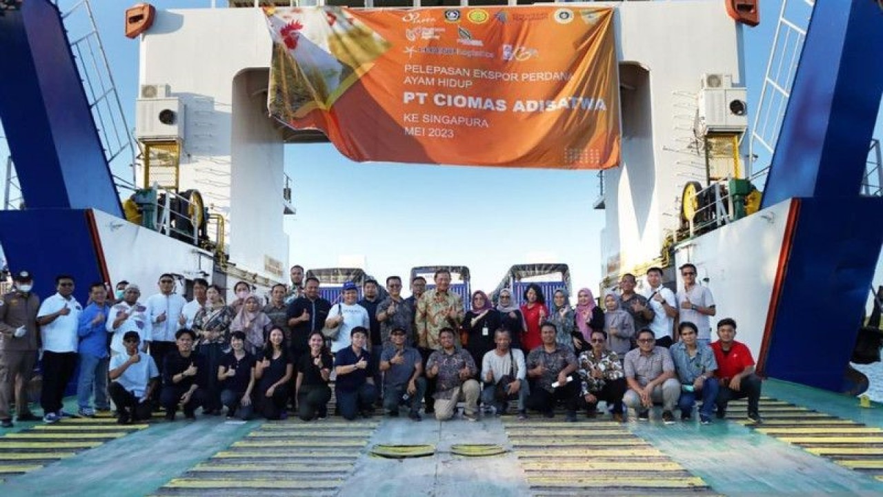 Pelepasan Ekspor Perdana Ayam Hidup PT Ciomas Adisatwa ke Singapura. (ANTARA/HO-JAPFA)