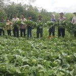 Pembangunan infrastruktur perlu diarahkan untuk capai ketahanan pangan-1683189982