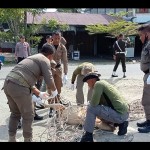 Pemkab Aceh Jaya tertibkan hewan ternak di jalan nasional-1684736442