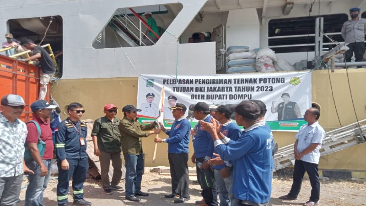 Pelepasan pengiriman sapi potong ke Pulau Jawa di Pelabuhan Calabai, Kecamatan Pekat, Kabupaten Dompu, Nusa Tenggara Barat. (ANTARA/HO-Humas Dompu)
