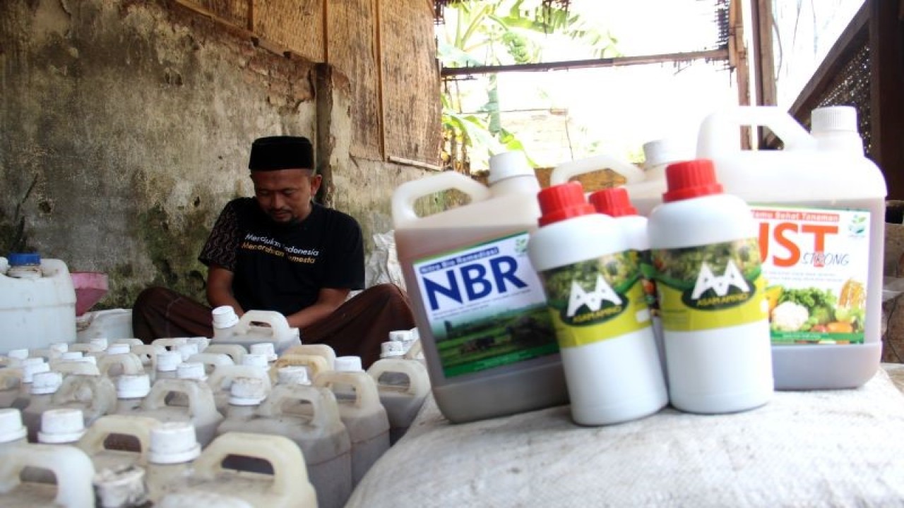 Seorang petani memproduksi pupuk cair organik di Dusun Kabunan, Desa Kebontemu, Kecamatan Peterongan, Kabupaten Jombang, Jawa Timur, Rabu (5/4/2023). ANTARA FOTO/Syaiful A