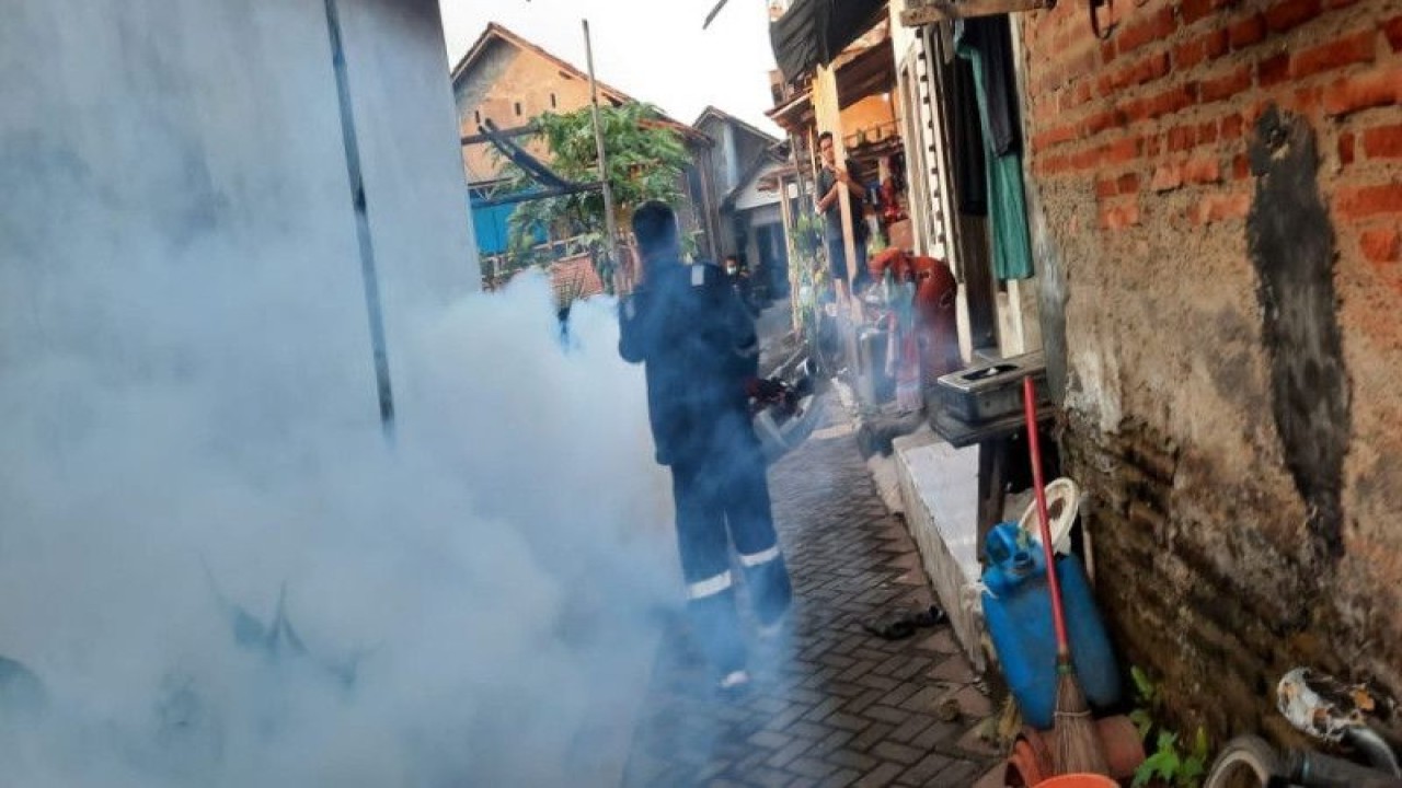 Petugas Dinas Kesehatan Kota Pekalongan sedang melakukan pengasapan di lingkungan rumah penduduk guna mencegah penyebaran nyamuk demam berdarah di Pekalongan, Senin (15/5/2023). (ANTARA/HO-Humas Pemkot Pekalongan)