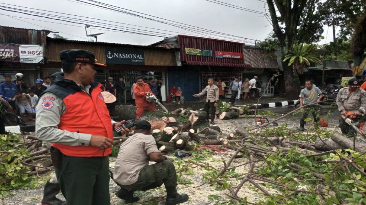 Petugas mengevakuasi pohon tumbang yang menghambat ruas jalan di Kota Padang, Sumbar, Senin (8/5/2023) (FOTO ANTARA/HO BPBD Padang)