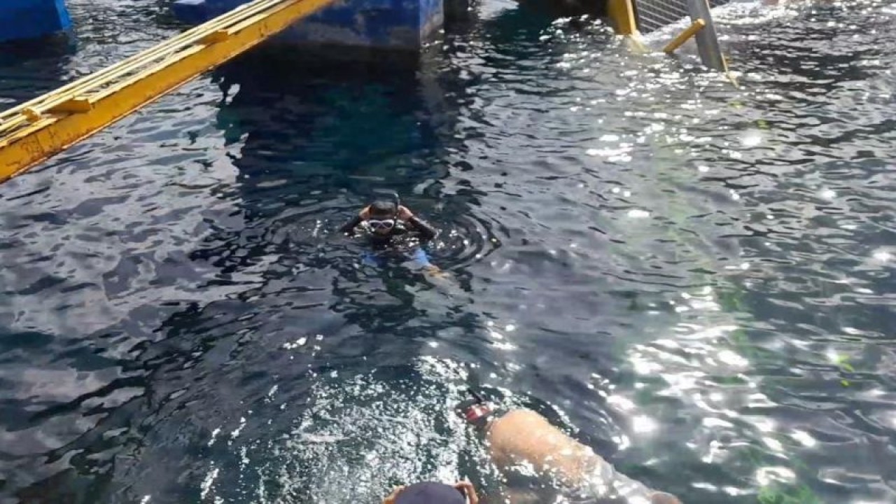 Tim penyelam diterjunkan untuk melihat serta mendata dampak kerusakan dermaga satu di Pelabuhan Penyeberangan Bastiong, pasca insiden tabrakan kapal pada 10 Mei lalu, Kamis (25/5/2023). ANTARA/Abdul Fatah (Abdul Fatah)