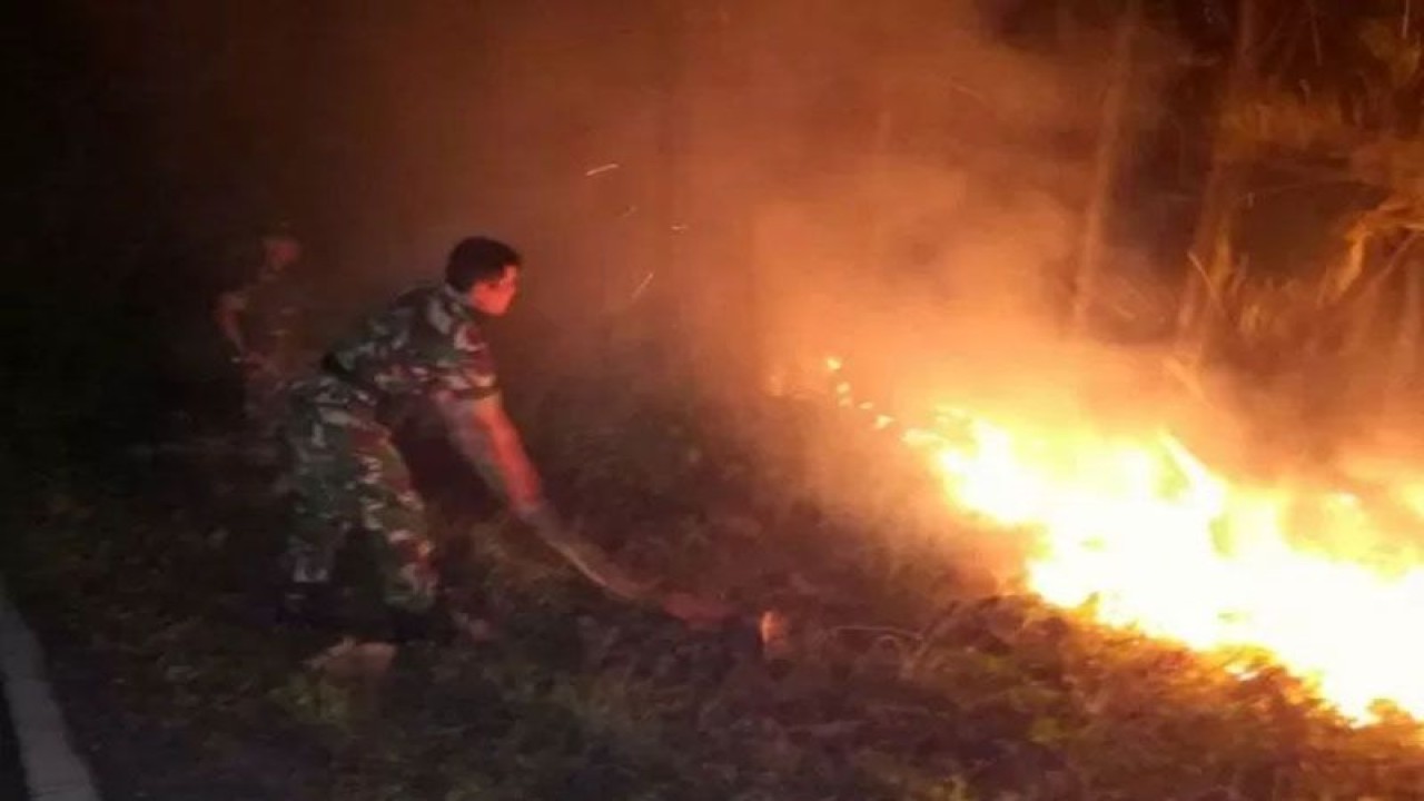 Arsip foto - Petugas gabunganerupaya memadamkan kebakaran di hutan jati Kubangkangkung, Desa Sidaurip, Kecamatan Kawunganten, Kabupaten Cilacap, Jumat (14/9/2018). ANTARA/HO-BPBD Cilacap