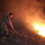 Perhutani Banyumas Barat siapkan langkah antisipasi kebakaran hutan-1685098730