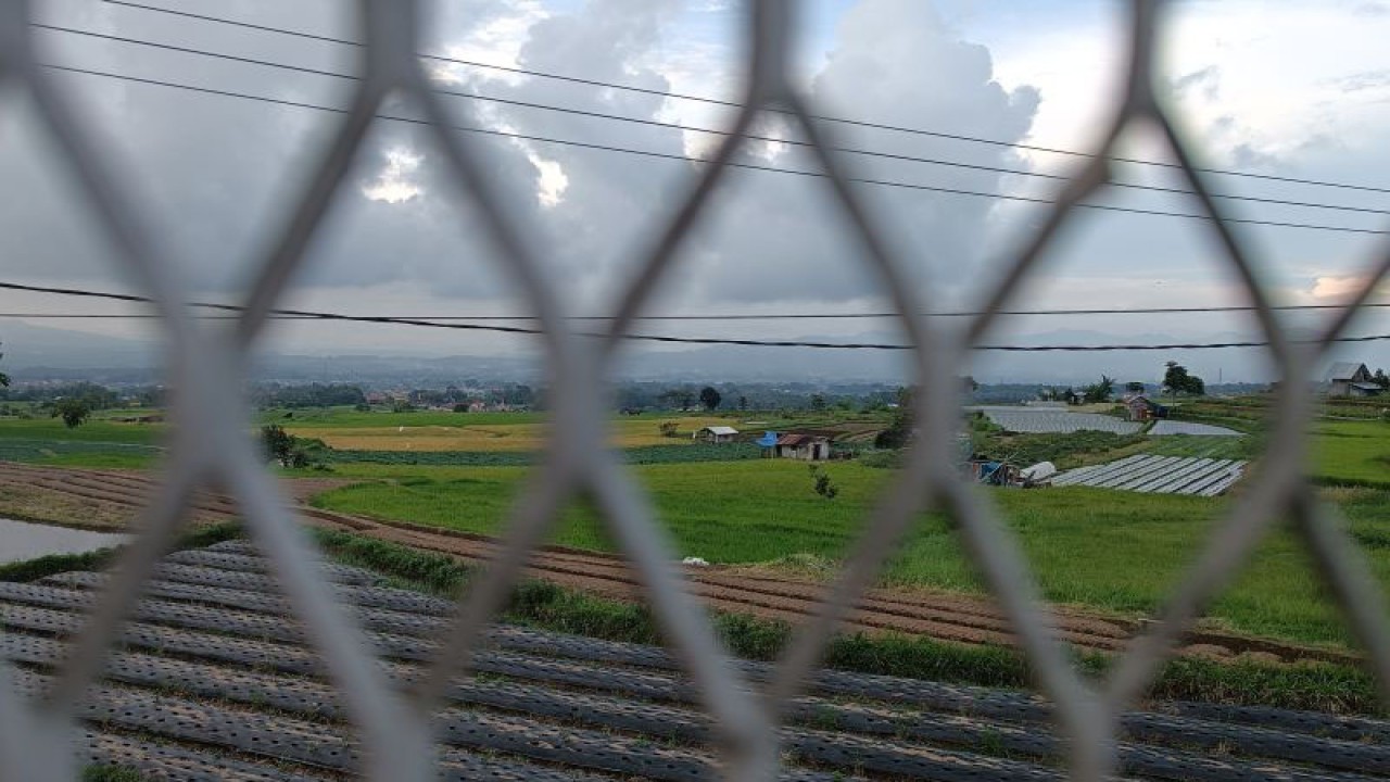 Lahan pertanian di Kabupaten Agam. (ANTARA/Miko Elfisha)