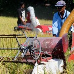 petani-1684853327