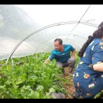 Petani-1684919758