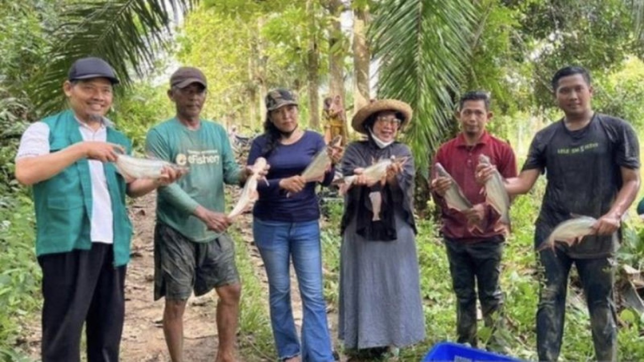 petani ikan di Desa Suka Damai, Kutai Kartanegara saat melakukan panen ikan. (Biro Adpim Pemprov Kaltim)