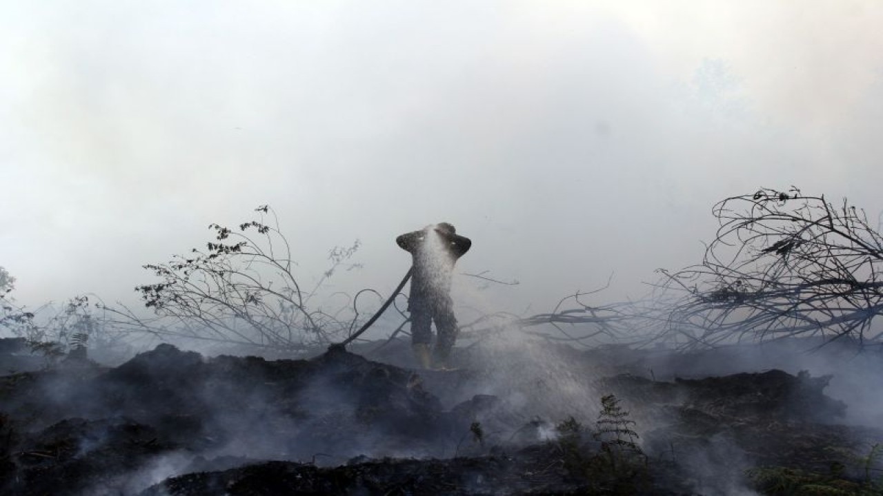 Petugas sedang memadamkan lahan yang terbakar di Desa Pelintung, Kecamatan Medang Kampai, Dumai, Riau, Selasa (2/5/2023). Ratusan hektar lahan terbakar di daerah tersebut sejak dua pekan terakhir dan api terus menjalar ke daerah lain akibat cuaca panas dan angin kencang. (ANTARA/Aswaddy Hamid)