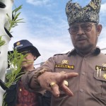 Presiden dijadwalkan lepas benih varietas padi gogo pada Penas Tani-1685427842
