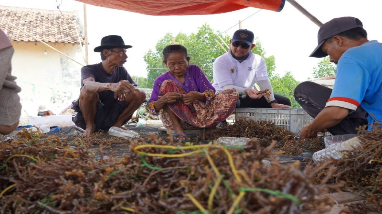 Para petani rumput laut bersama pihak dari PT Kliring Berjangka Indonesia (KBI) di Pantai Lontar, Serang, Banten, Kamis (4/5/2023). ANTARA/BUMN-KBI