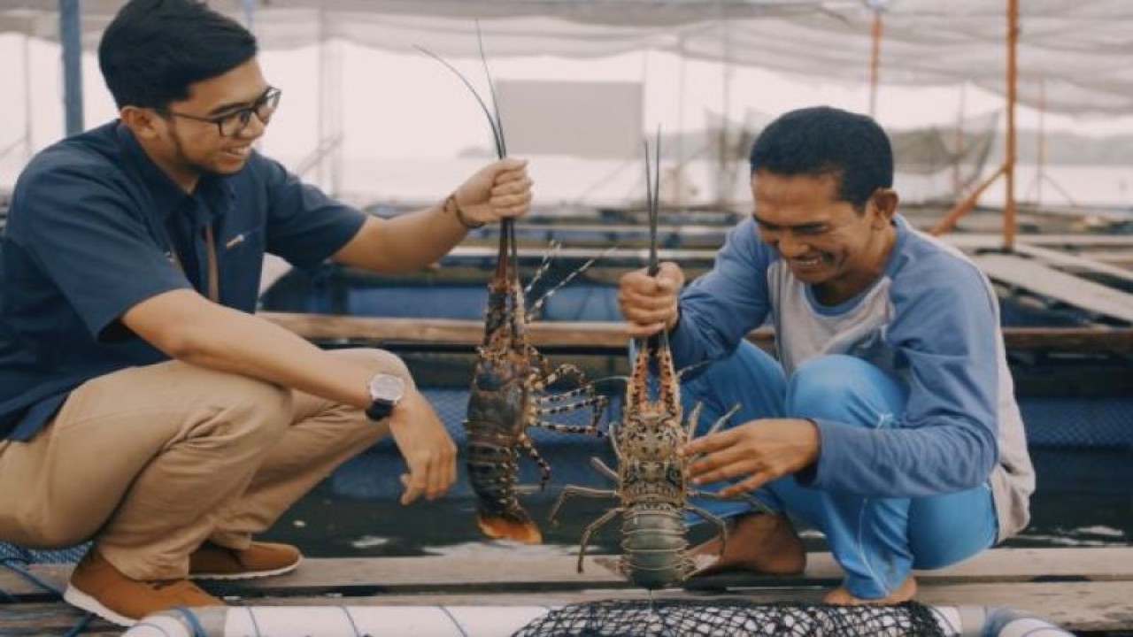 PT Pupuk Kalimantan Timur (Pupuk Kaltim) menyambut positif langkah PT Badak LNG untuk mengadopsi program Creating Shared Value (CSV) Keramba Jaring Apung (KJA) nelayan agar bisa diterapkan untuk memberi manfaat yang lebih luas di masyarakat. ANTARA/HO - Pupuk Kaltim