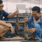 PT Pupuk-1683519950