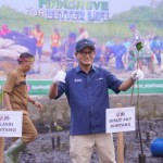 Pupuk Kaltim salurkan 10 ribu bibit mangrove untuk selamatkan pesisir-1684306219