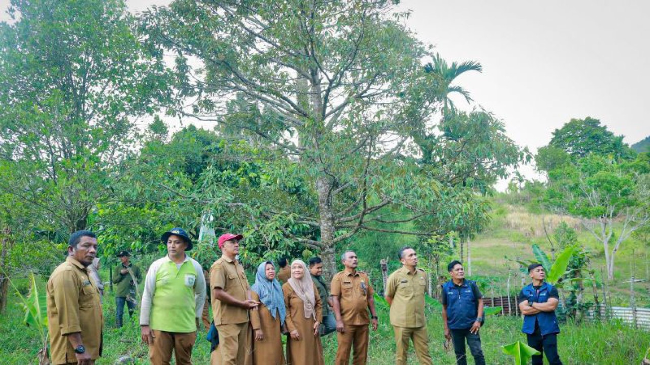 Pj Wali Kota Sabang Reza Fahlevi (ketiga kanan) saat meninjau lahan pertanian milik masyarakat di Kota Sabang, Provinsi Aceh. ANTARA/HO-Humas Pemkot Sabang