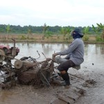 sawah-1684900338