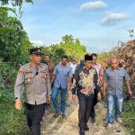 Senator desak KLHK tangani konflik harimau di Aceh Timur-1683714127