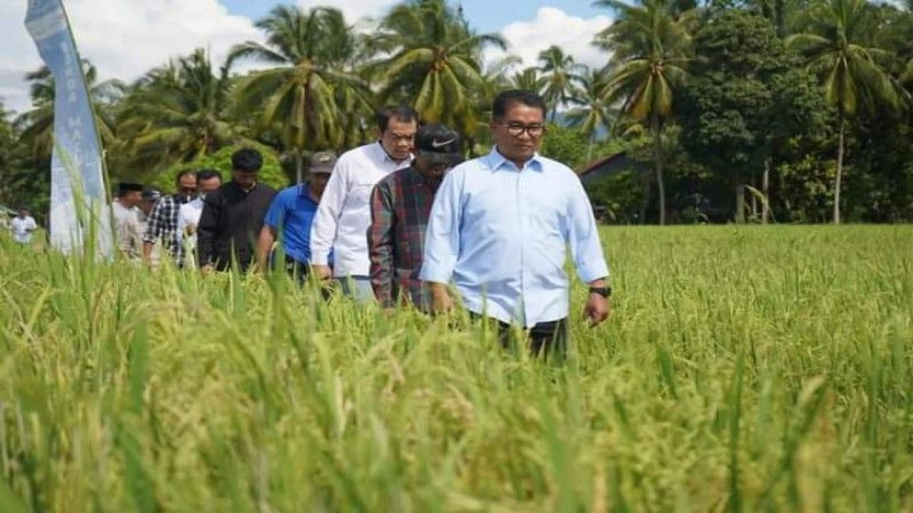 Penjabat Gubernur Sulbar, Akmal Malik, meninjau lahan pertanian padi serta membantu kelompok petani desa Bunde berupa Combine Harvester di Desa Bunde Kabupaten Mamuju, Minggu (7/5/2023) ANTARA Foto/ M Faisal Hanapi