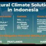 Tangkapan layar - Data saat webinar oleh BRIN dan YKAN (ANTARA / HO YKAN)-1684744145