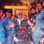 Tangkapan layar Suasana Tim Gakkum LHK mengamankan sejumlah burung yang dilindungi. ANTARA/HO-Gakkum LHK Sulawesi-1685339488
