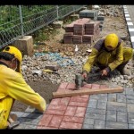 tebet-1684246326