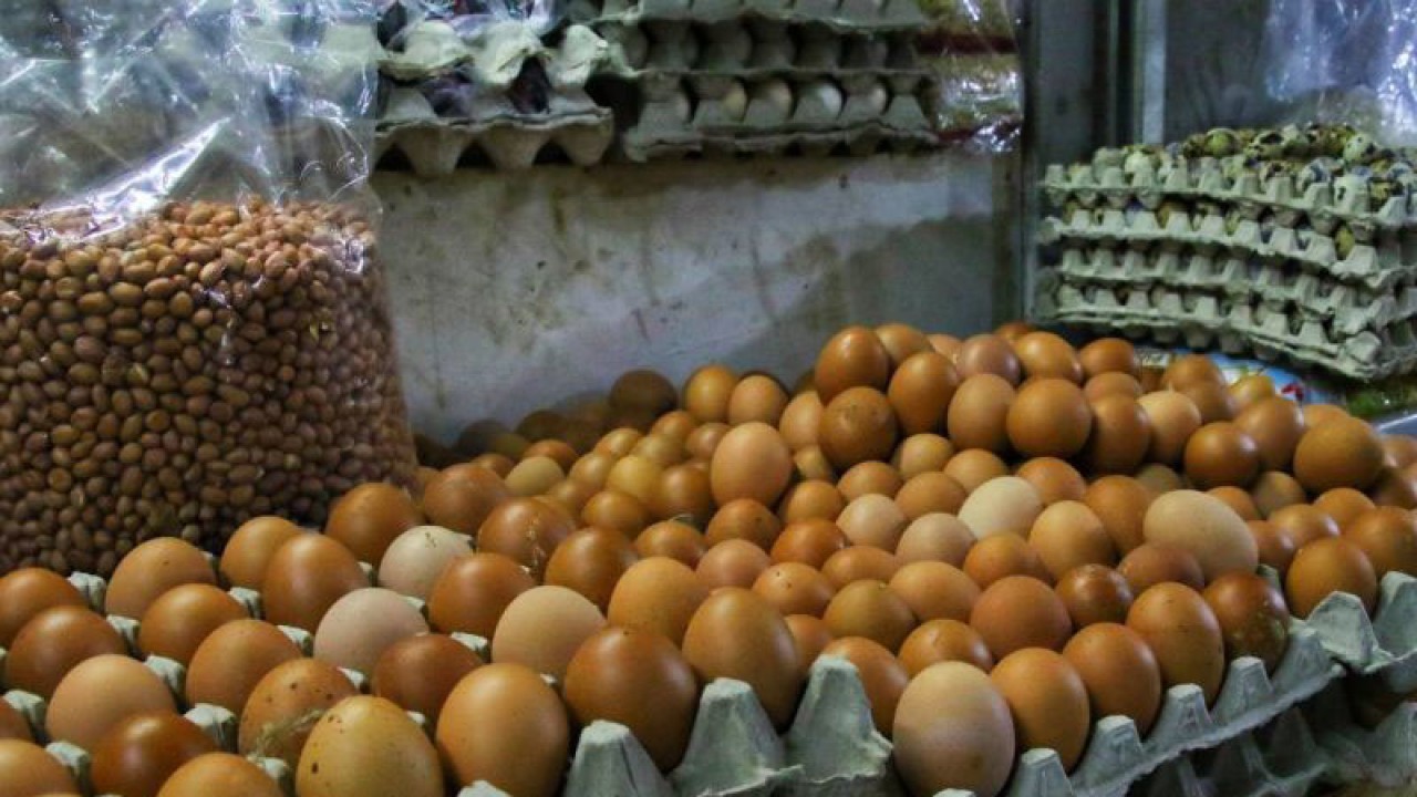 Harga telur ayam tergolong tinggi di Kota Bandung, Jawa Barat. (ANTARA/Bagus Ahmad Rizaldi)