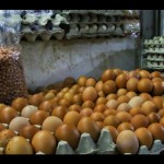 telur-1684912619