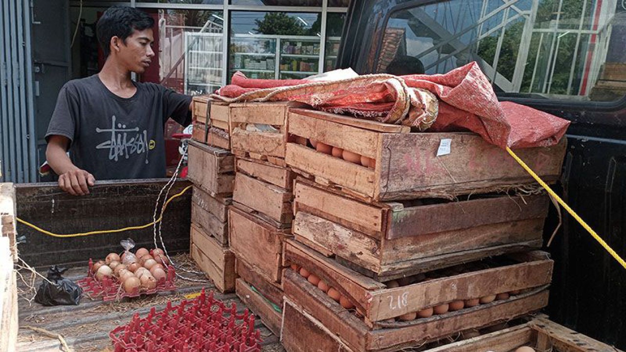 Distributor telur ayam ras usai mengirim pasokan untuk salah satu toko modern di Kelurahan Purwanegara, Kecamatan Purwokerto Utara, Kabupaten Banyumas, Selasa (30/5/2023). ANTARA/Sumarwoto