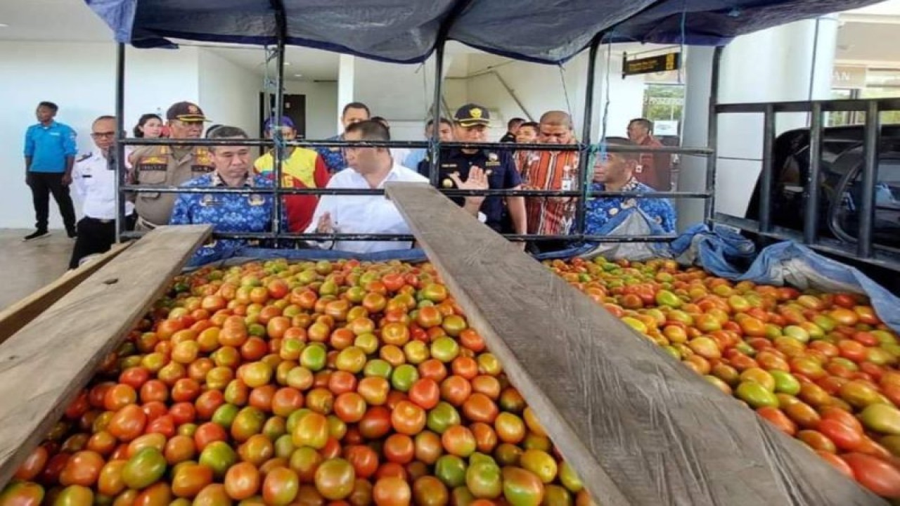 Kegiatan ekspor perdana komoditi tomat ke Timor Leste yang dilakukan Perusahaan umum daerah Belu Bhakti milik Pemerintah Kabupaten Belu, NTT. (ANTARA/HO-Kantor Bea Cukai Atambua)