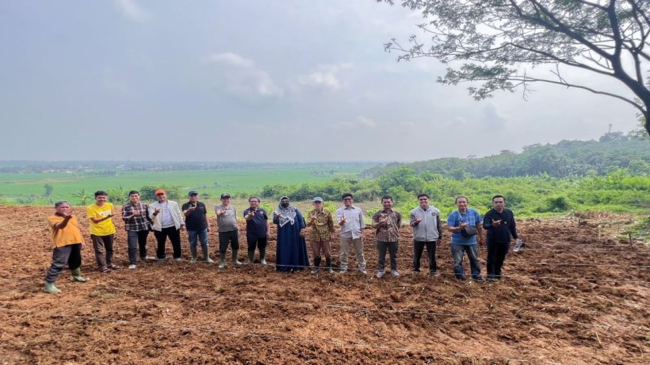 Lahan seluas 64 hektar di Jonggol, Jawa Barat, yang akan dimanfaatkan untuk lahan peternakan, pertanian, dan taman edukasi oleh Universitas Muhammadiyah Prof. Dr. Hamka (Uhamka) (ANTARA/HO-Uhamka)