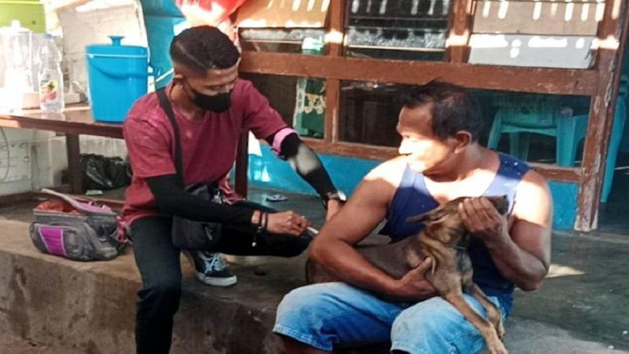 Arsip. Petugas Disnak menyuntikan vaksin kepada seekor anjing di Flores. ANTARA/HO-Dokumentasi pribadi