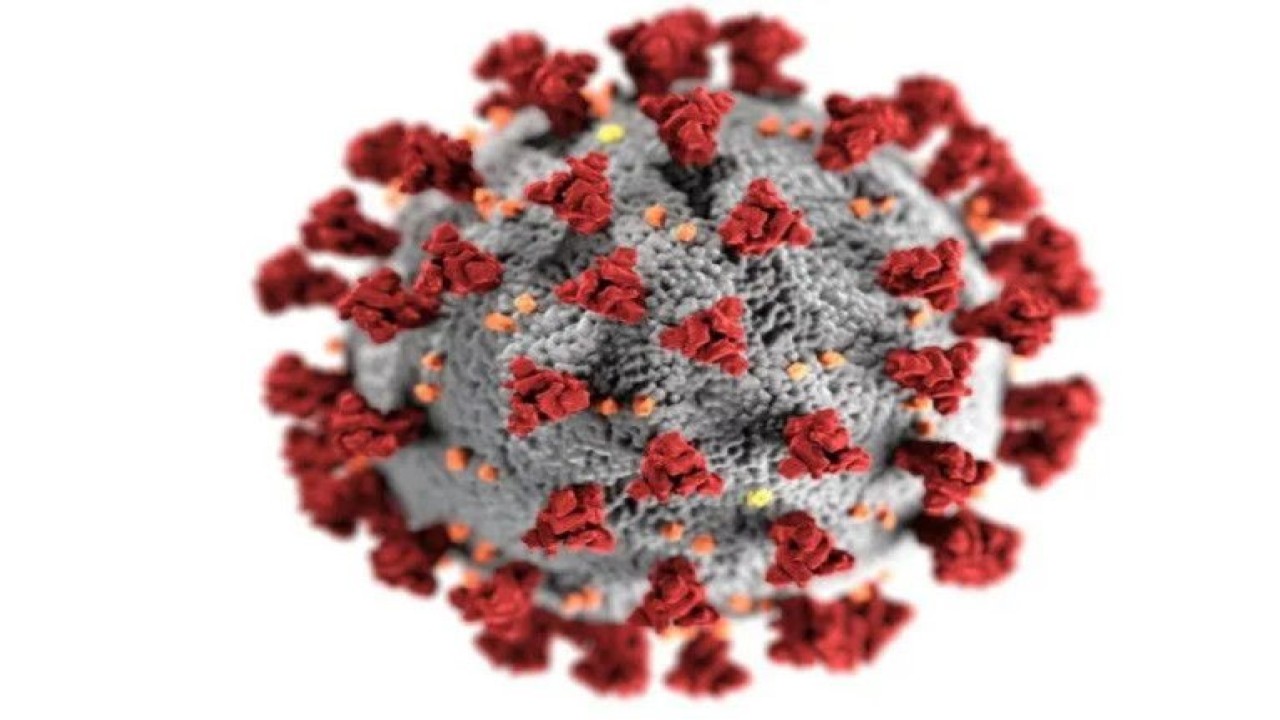 Virus SARS-CoV-19. (FOTO ANTARA/HO-Centers for Disease Control and Prevention (CDC)