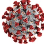 Virus SARS-CoV-19. (FOTO ANTARA/HO-Centers for Disease Control and Prevention (CDC)-1683631990