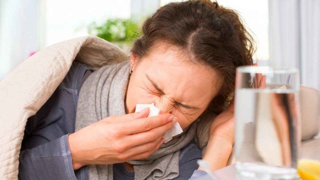 Ilustrasi. Infeksi virus West Nile adalah infeksi yang berasal dari gigitan nyamuk pembawa virus. (Istimewa)