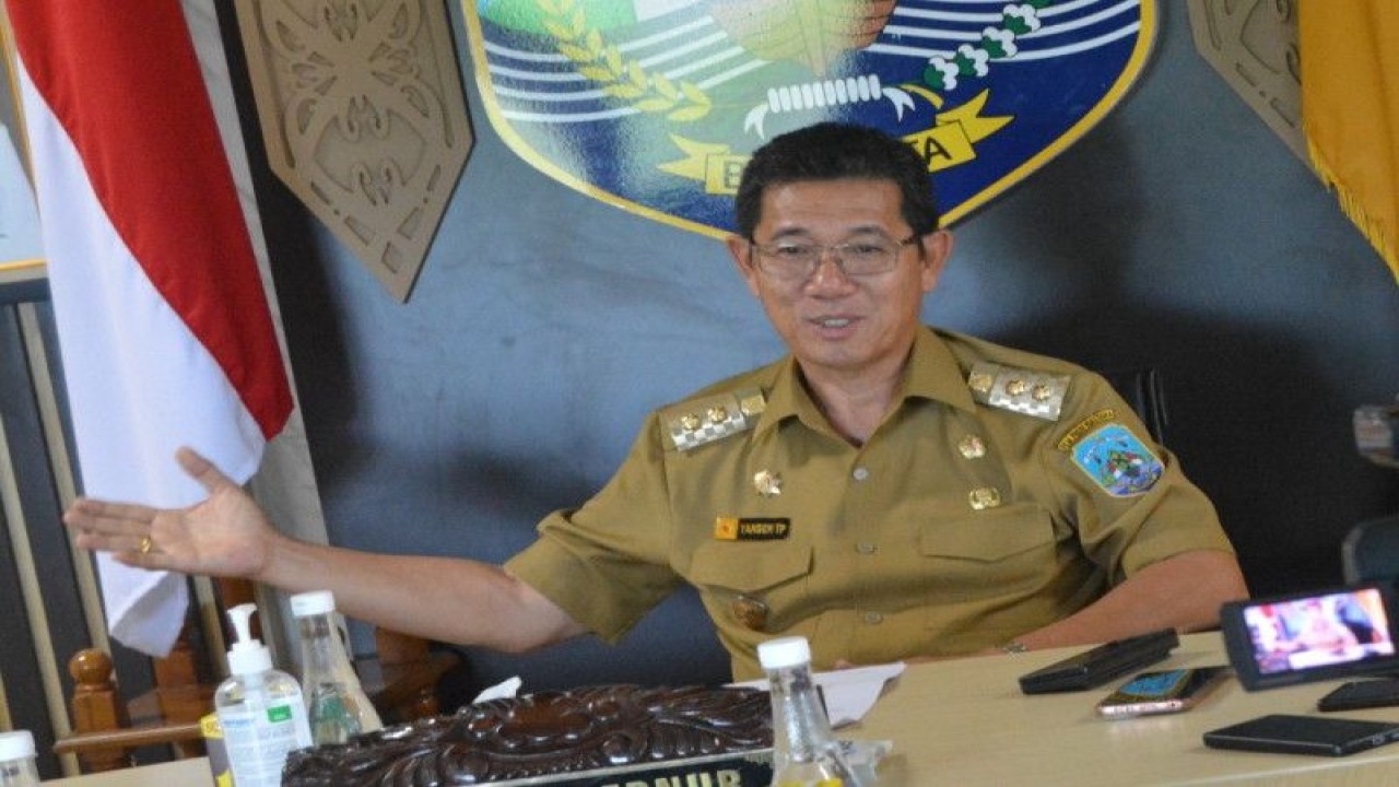 Wakil Gubernur Kaltara Yansen TP. ANTARA/Muh. Arfan