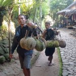 Warga Badui memanggul buah durian dari kebun dibawa ke penampung di Terminal Ciboleger Kabupaten Lebak. ANTARA/Mansyur-1684135543