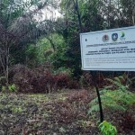 YKAN: Implementasi RIL-C dapat mengurangi emisi karbon 40 persen-1683796453