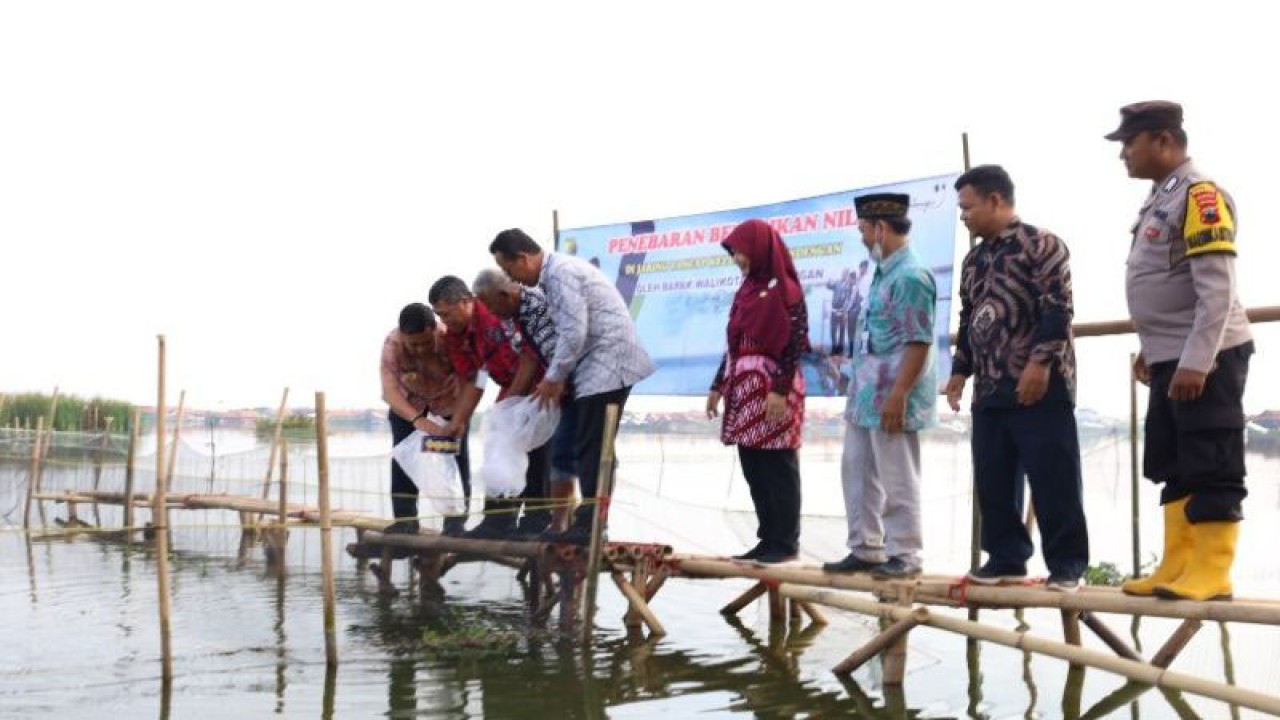 Wali Kota Pekalongan Afzan Arslan Djunaid (Kiri) sedang menebar ikan di sebuah kolam tancap dan keramba apung di Pekalongan. (ANTARA/Dokumen Pribadi)
